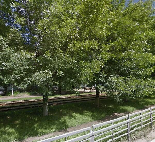 Отделение Торгового Городского Банка по адресу Петербургское ш.,  д. 60